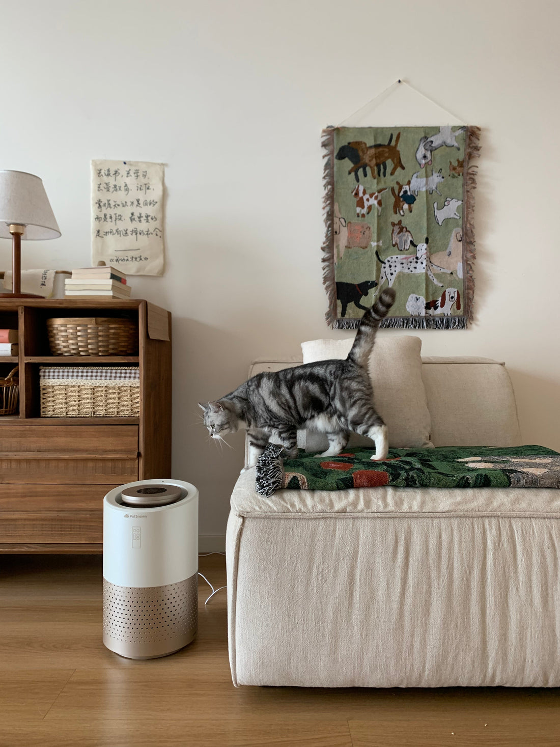 Tabby cat with pet air purifier