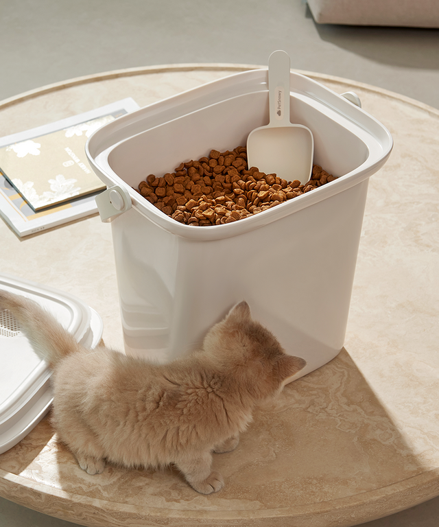 foodcontainer-scene-2