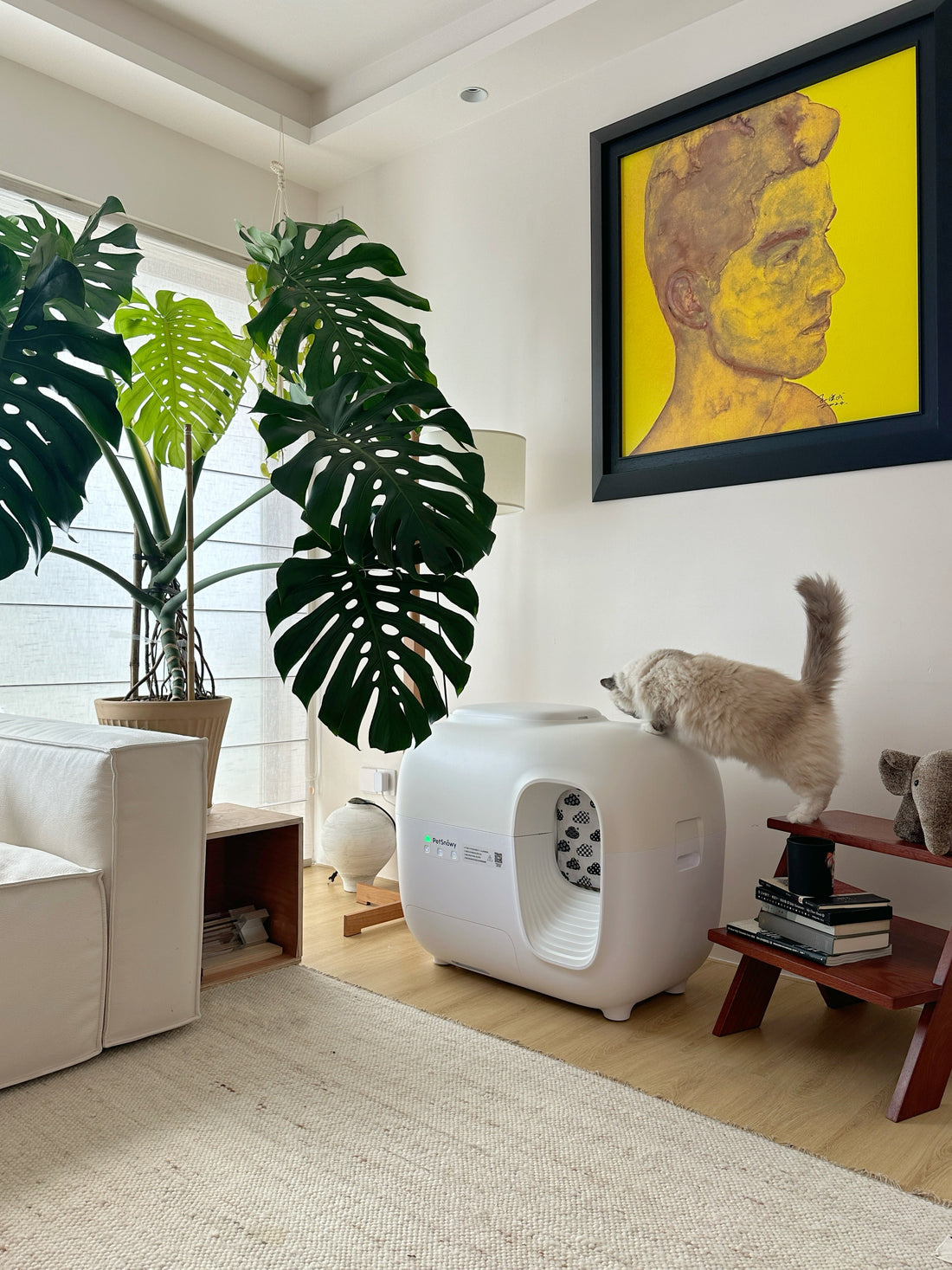 Katze erkundet ein selbstreinigendes PetSnowy Katzenklo in einem modernen Wohnzimmer mit natürlichem Licht und minimalistischem Dekor