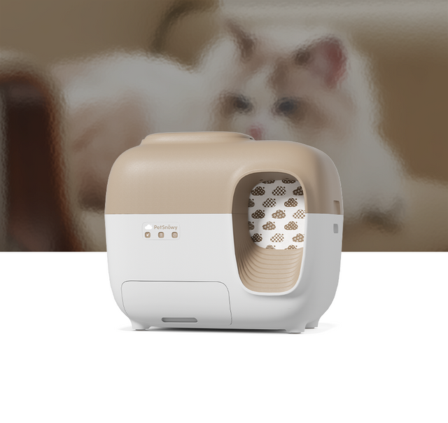 litterbox-escena-clásica-1