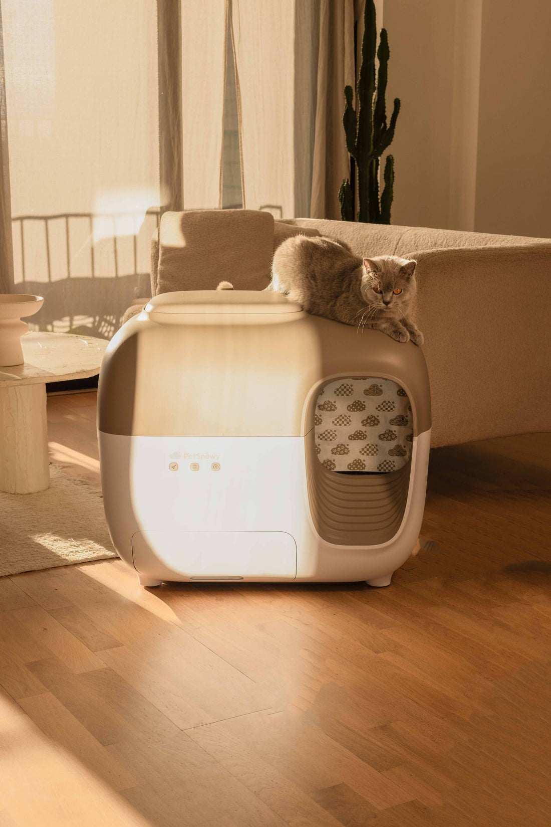 chat sur la litière SNOW+ par une chaude journée d'hiver