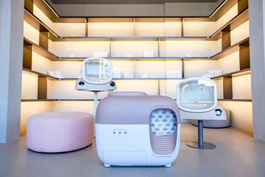 Bac à litière autonettoyant et séchoir pour animaux PetSnowy