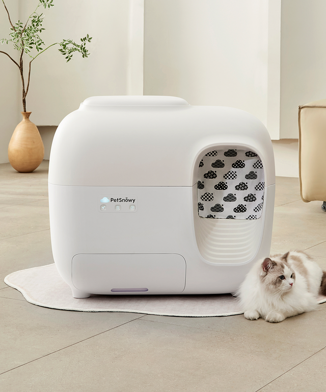litterbox-classique-scène-2