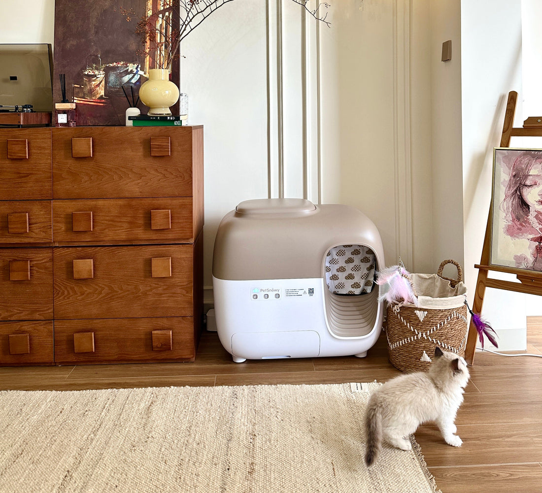 Pianificazione del viaggio dei gatti - Quanto tempo possono stare da soli?