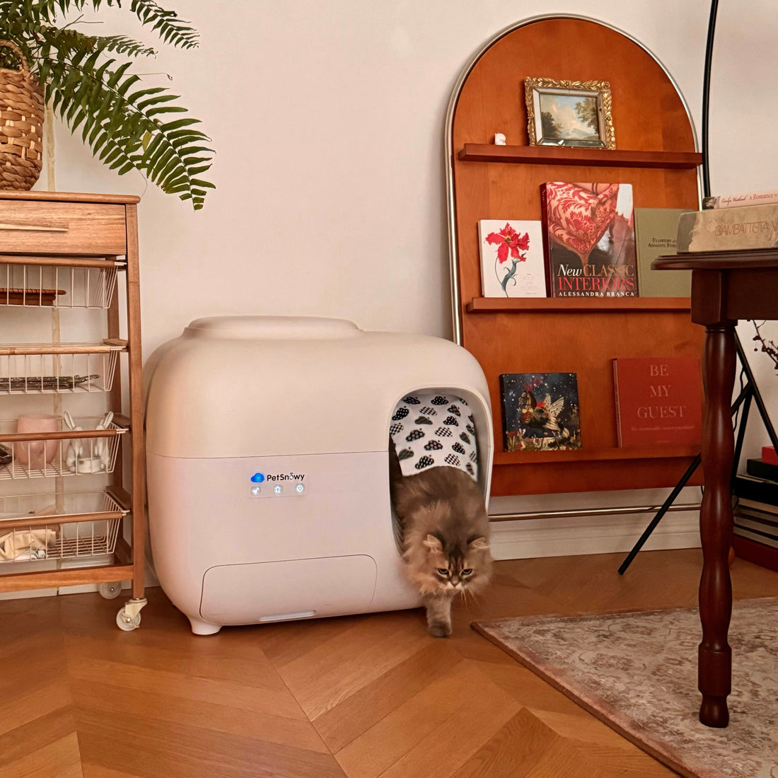 Smart Pet Care for Apartments and Small Spaces | PetSnowy