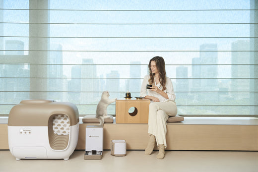 A woman enjoying tea with a kitten and a set of SNOW+ devices