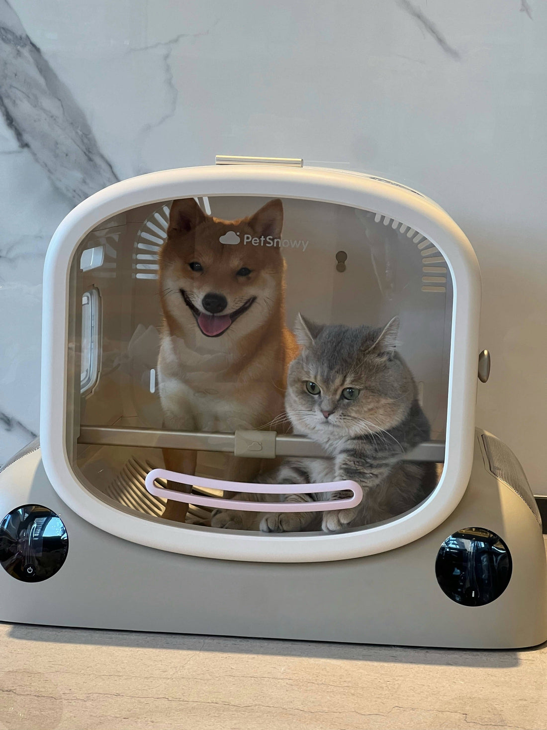 A Shiba Inu and a British Shorthair sit inside a PetSnowy SMILE pet dryer box