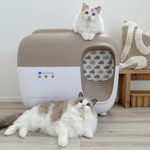 a ragdoll cat lays beside SNOW+ litter box with another ragdoll cat sits on the litter box