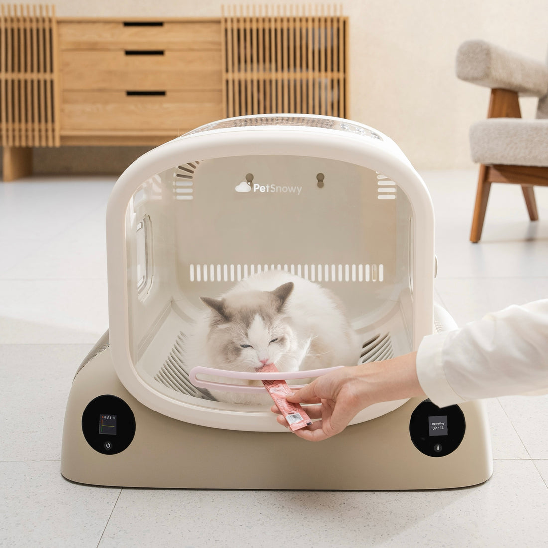 Transform Your Pet's Bath Time into a Luxury Spa Experience