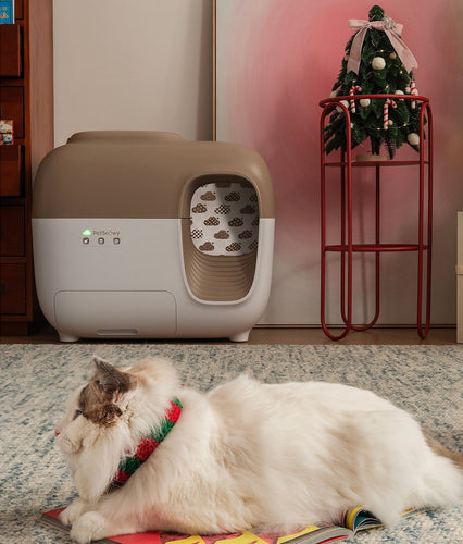 5 Ways an Automatic Self Cleaning Litter Box Transforms Your Home's Cleanliness