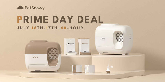 Prime Day Deals