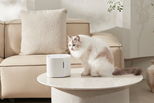 PetSnowy | ペット自動給水器 | 健康的な水分補給｜PetSnowy