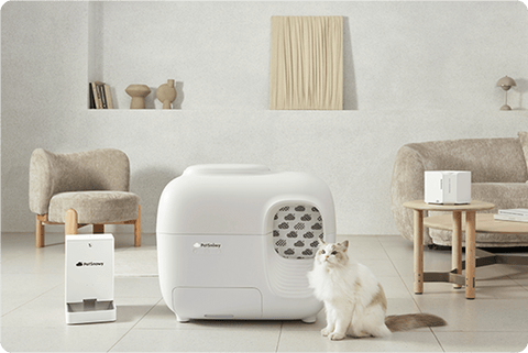 cat standing in front of a white litter box