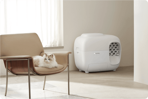 cat resting white litter box