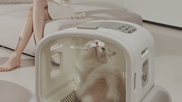 dryerbox-scene-1