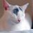 IndoorOutdoorKat