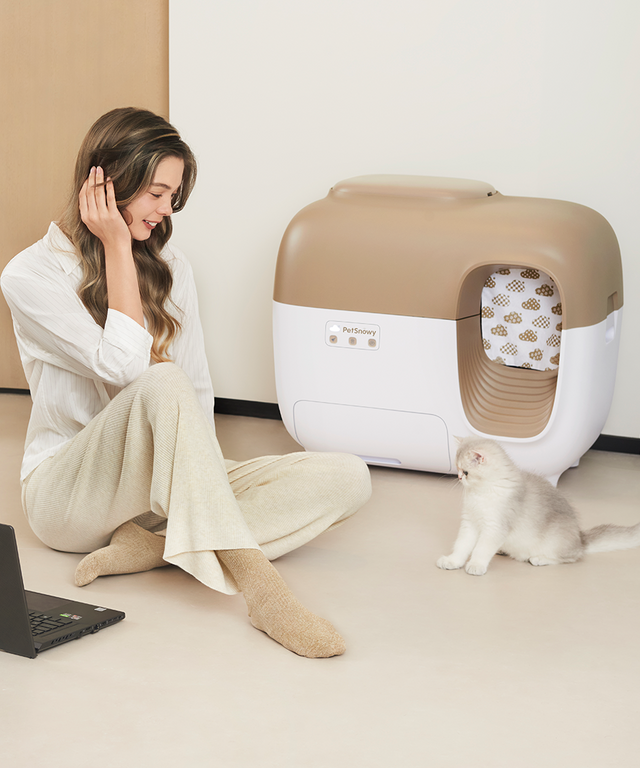 litterbox-classic-scene-2