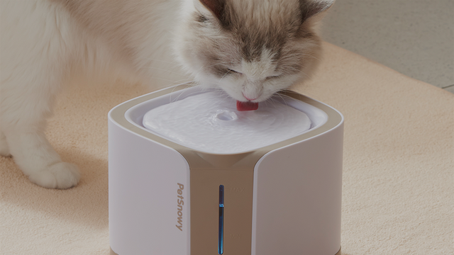waterfountain-scene-1