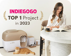 Indiegogo's Top 1 Project