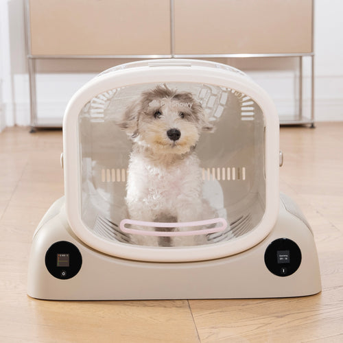 a terrier sits inside PetSnowy SMILE Pet Dryer Box