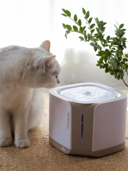 Science of Pet Hydration: Flowing Water Matters | PetSnowy